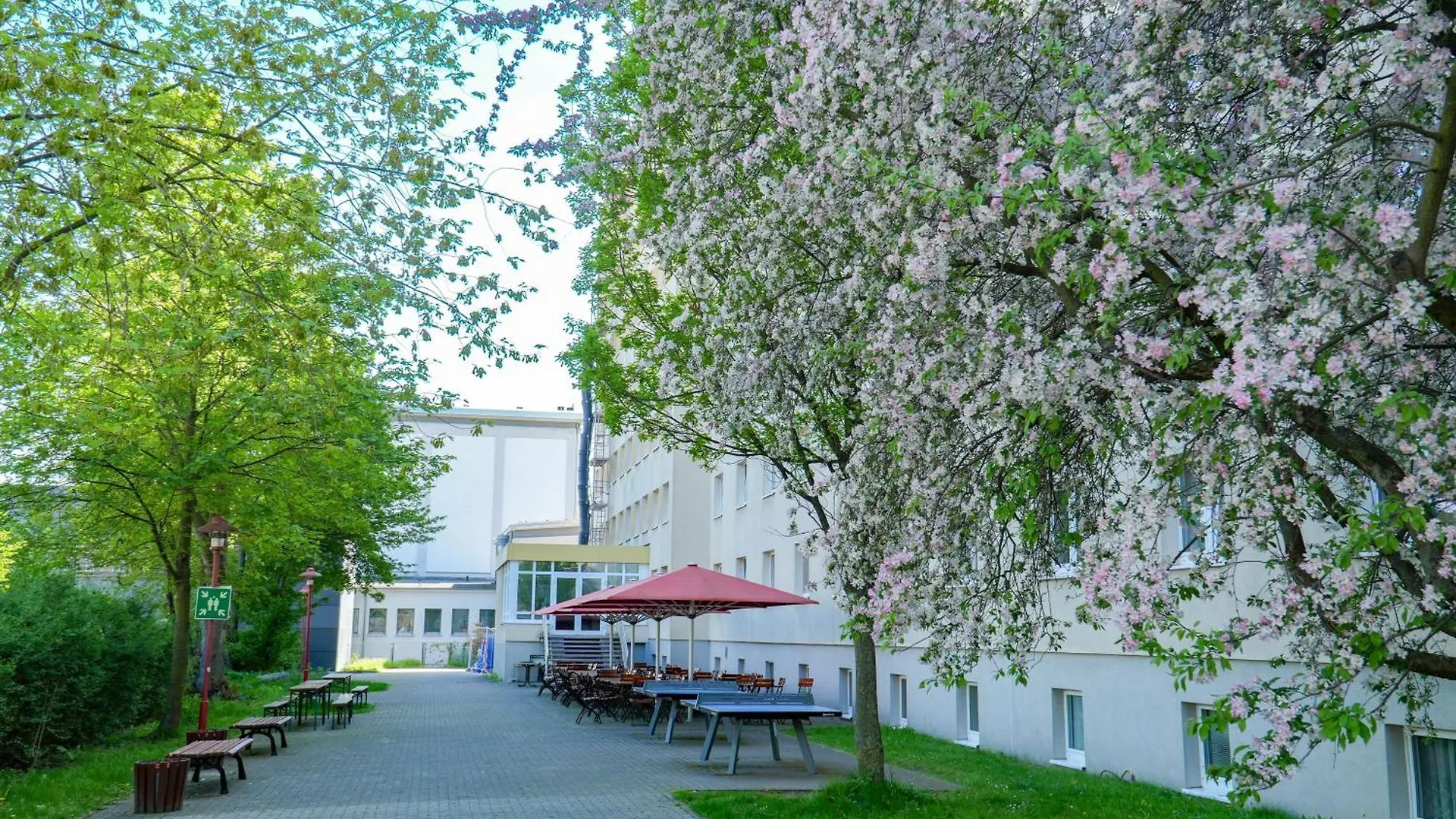 Hostel Djh Jugendherberge Dresden - Jugendgaestehaus
